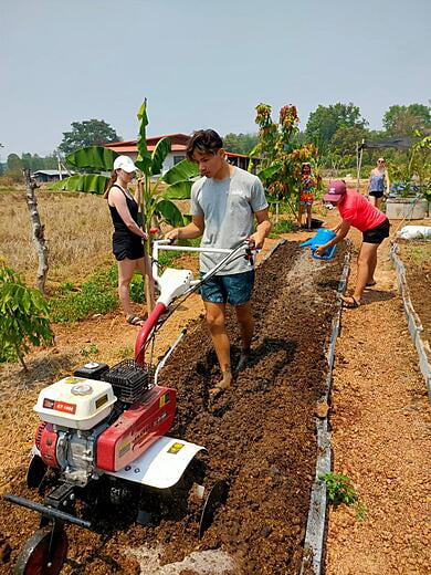 A new vegetable patch is created, everyone helps